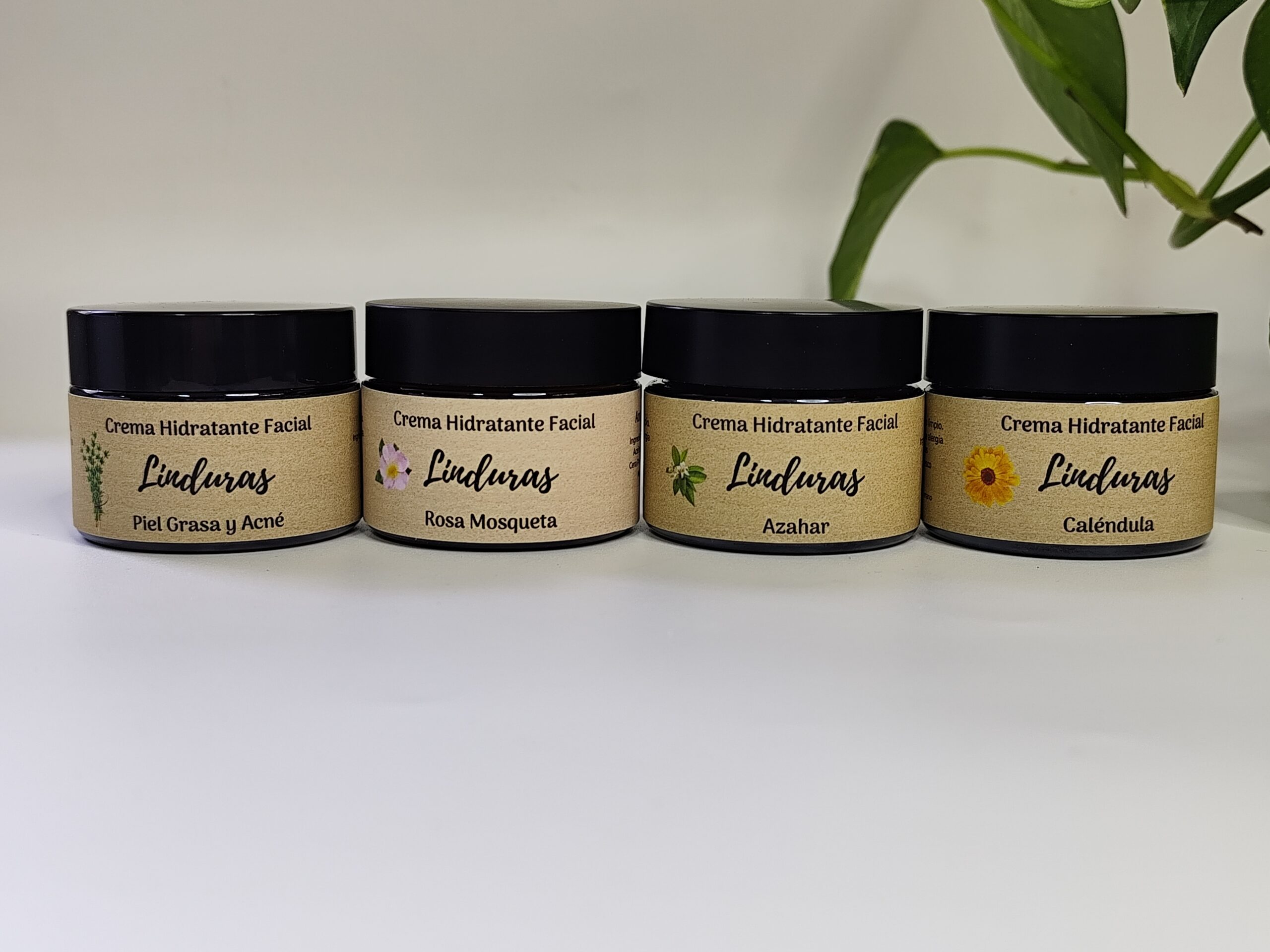 Crema Hidratante Facial Crema Hidratante Facial